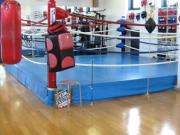 ALEX BOXING SPORTS GYM
