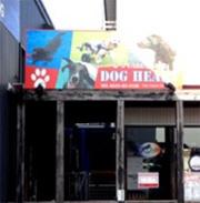 K9 Care Space Dog Heart